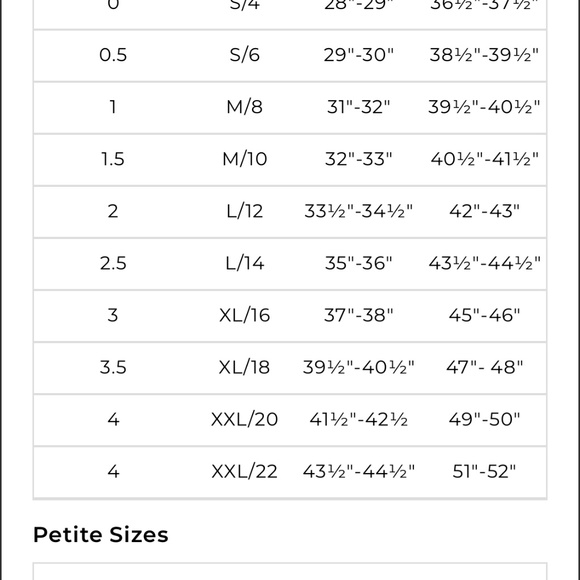 🔴REDUCED‼️💥EUC💥 Chico's Navy Striped Ankle Pants - Size 0 (US standard Size 4)✨ - Picture 14 of 15